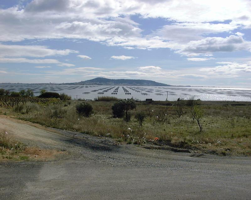 etang de thau 1